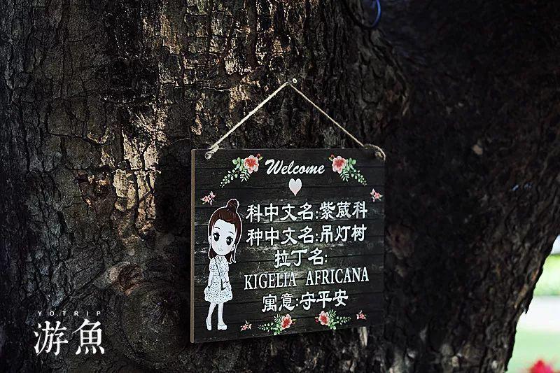 被困的狮王逃生3