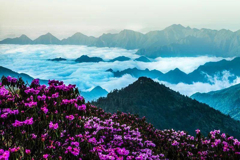 你觉得大学和舍友相处中最重要的是什么?-精准智能问答网页