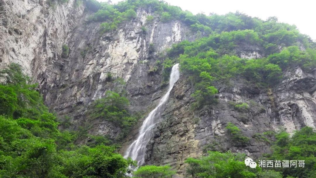 小鸡要回家